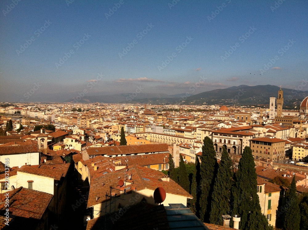 Obraz premium view of florence italy