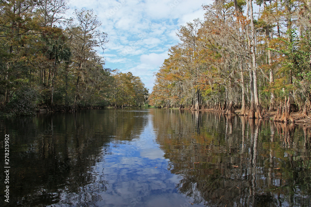 Fisheating Creek, Florida, on an autumn afternoon Fisheating Creek, Florida, on an autumn afternoon