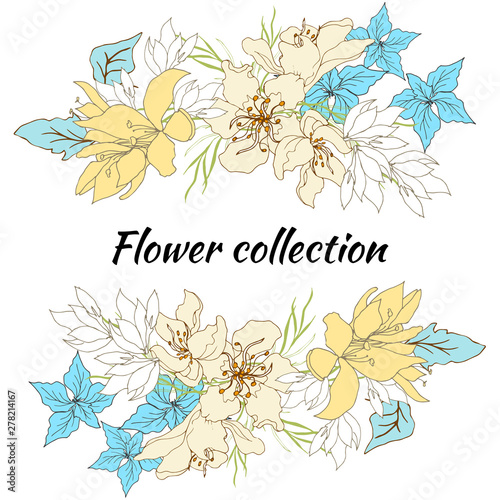 Floral frame for text. Set of vector flowers. Vintage hand-drawn flowers on white background. Vector illustration.