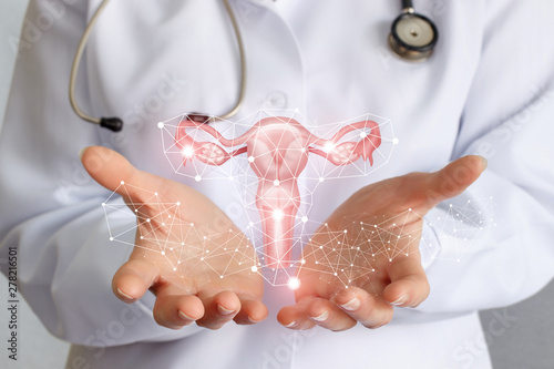 Fotótapéta Worker of medicine shows the uterus .