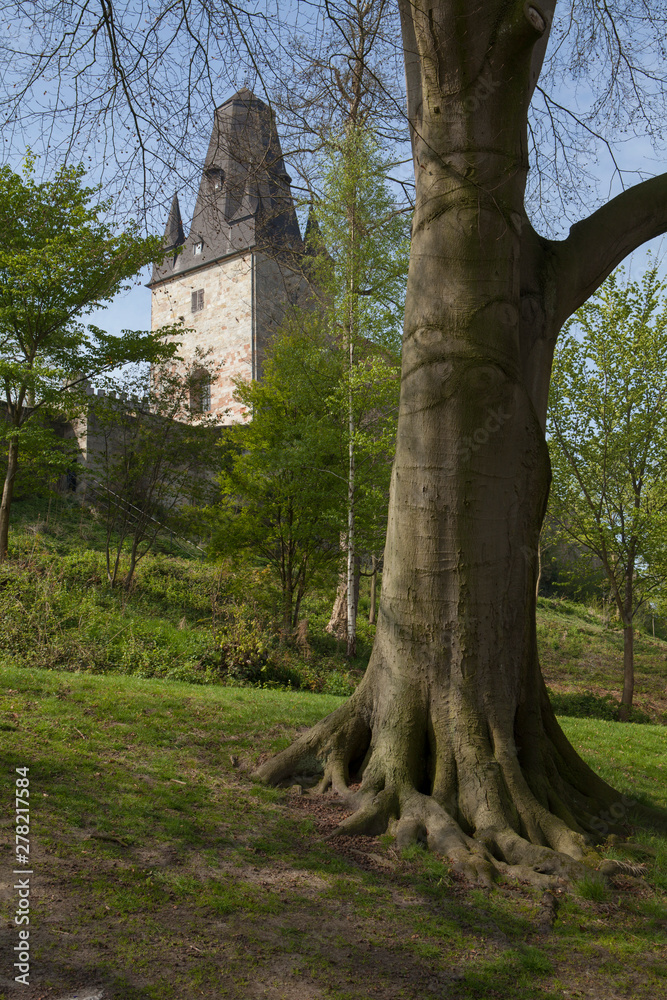 Bentheim Germany Castle park