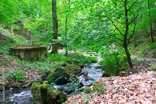 Canonteign Falls  Devon