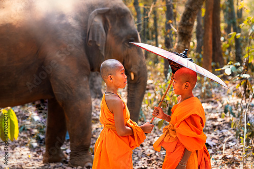 Novices or monks spread a red umbrella and elephants. Two novice Thai standing and big elephant with forest background. , Tha Tum District, Surin, Thailand.