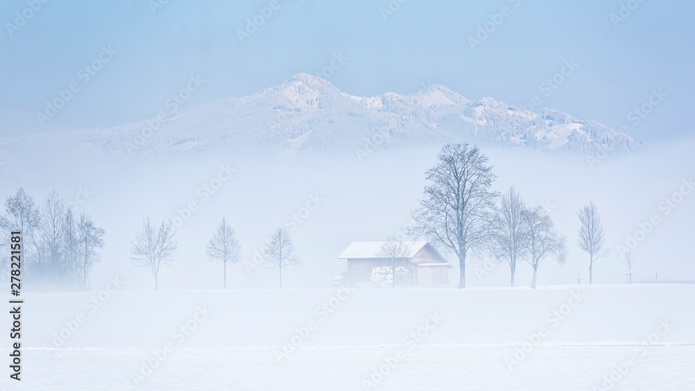 Zimowa mgła - obrazy, fototapety, plakaty 