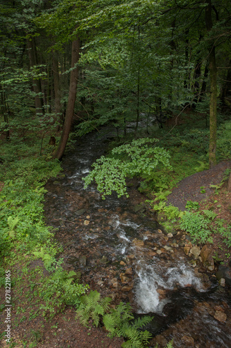 Thuringen Forest Germany. Biosparenreservat