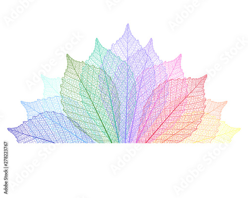 Beautiful background with leaves . Vector illustration.