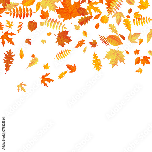 Orange and yellow falling autumn leaves template. EPS 10