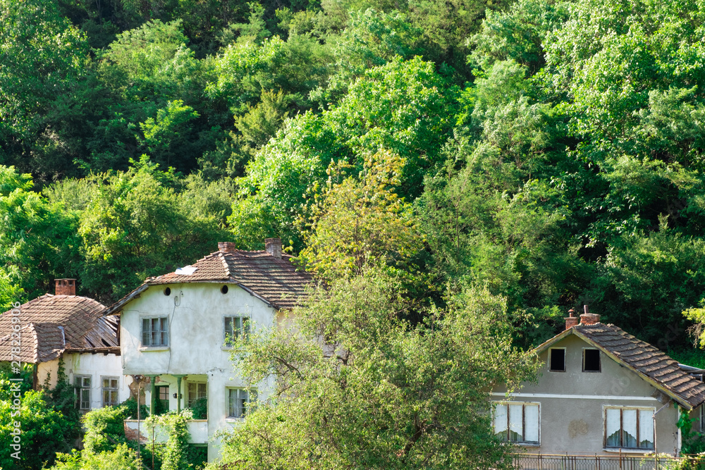 Old bulgarian houses in the forest on bright summer day