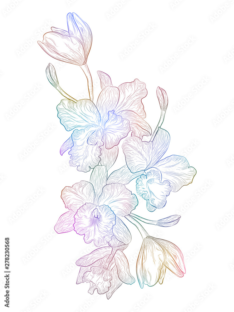 Flower Orchid isolated on white background. Vector illustration, 