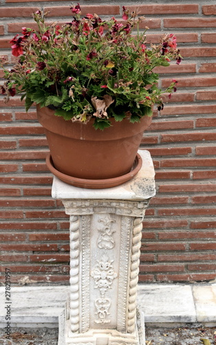 flowerpot on a marble column © Panos