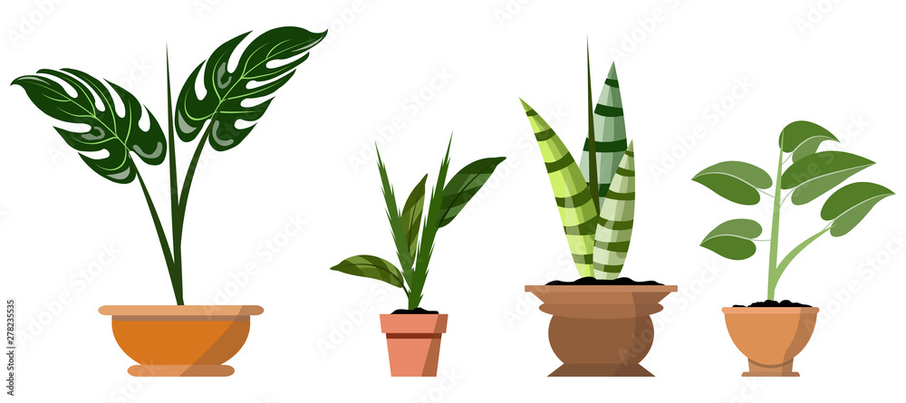 Potted plants isolated on white. Vector set of four green tropical plants in pot illustration Potted plants isolated on white. Vector set of four green tropical plants in pot illustration