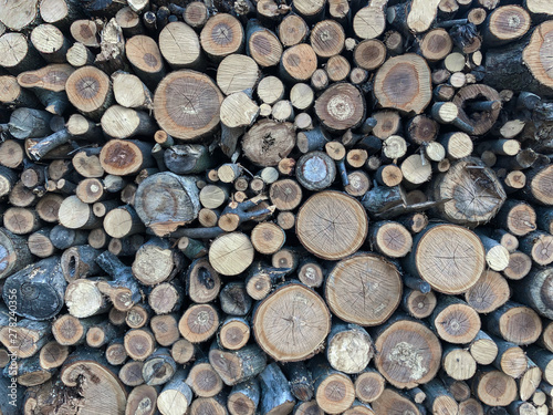 Firewood for heating  fires  fireplaces. Background from sawed tree trunks.