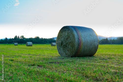 Heuballen zeit