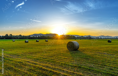 Heuballen zeit