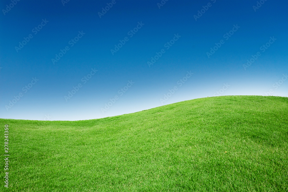 Green Grass Field Texture with Blank Copyspace Against Blue Sky