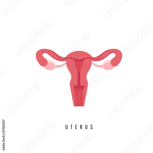 Fotótapéta Female reproductive system concept