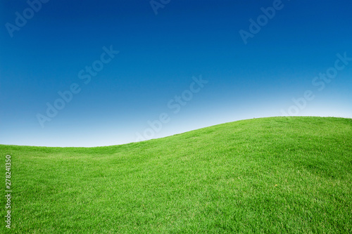 Green Grass Field Texture with Blank Copyspace Against Blue Sky © charnsitr