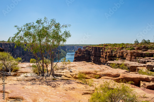 high angel view over King George River Gorge and plateau in the Kimberleys  with lush bushes and sandstone formation in  the foreground and background