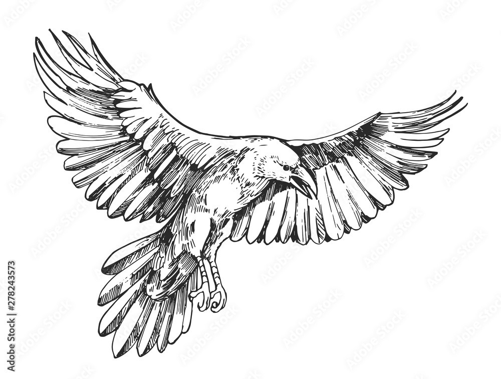 Vetor de Sketch of flying raven. Hand drawn illustration converted to