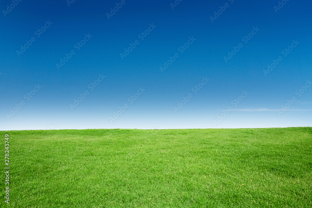 Green Grass Texture with Blang Copyspace Against Blue Sky