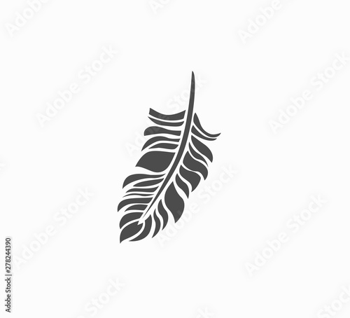 Gray vector icon - feather close-up. Beautiful lightweight feather - stylish print