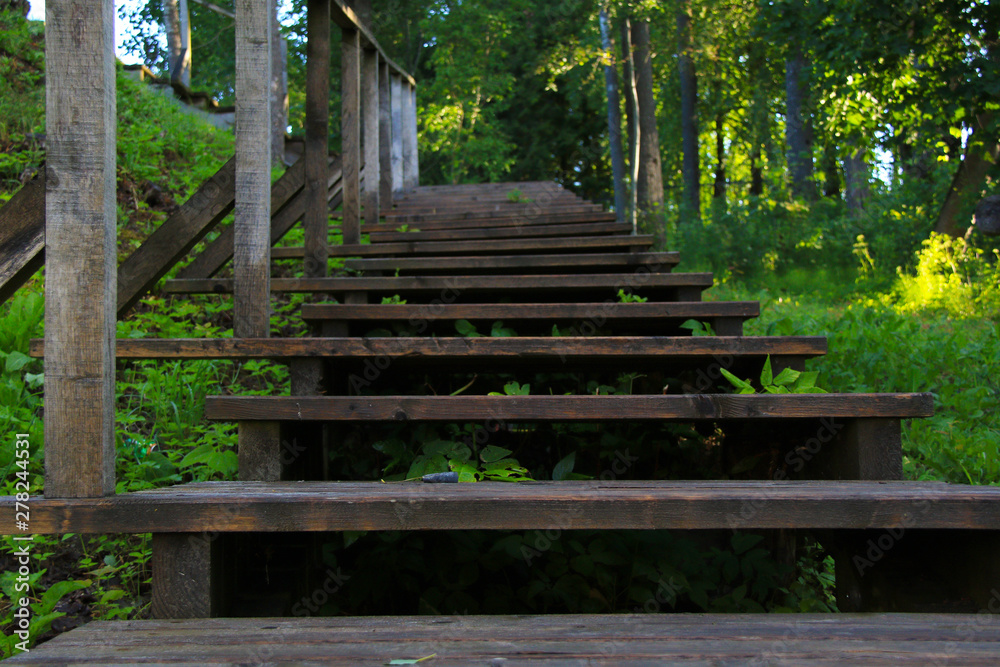 old wooden stairs in forest