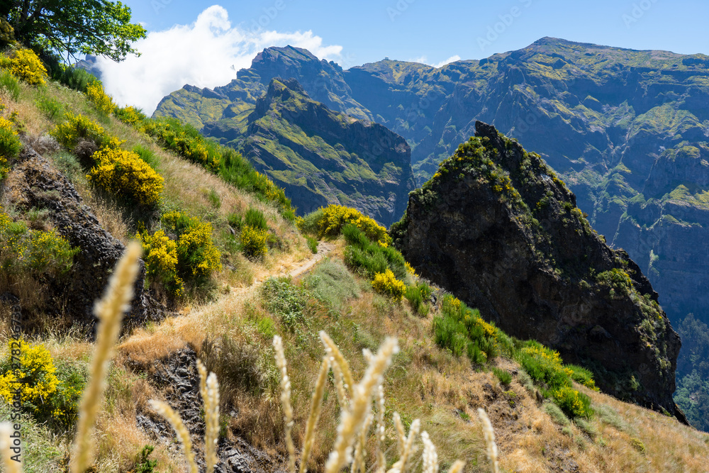 Madeira - Wandern im Zentralgebirge: Pfad in den Bergen