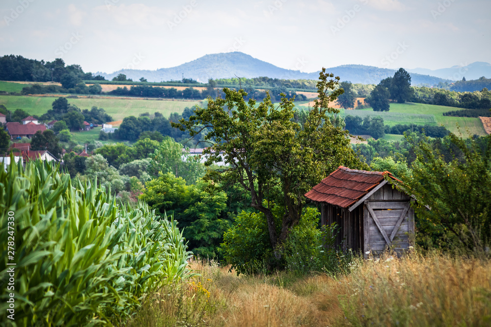 Old vintage house by the agriculture field in a village in Serbia