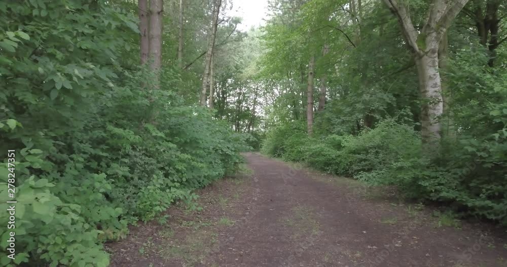DRONE FLYING IN FOREST LOW HIGHT FAST SLOW ARIAL VIEW DRONE FLYING IN FOREST LOW HIGHT FAST SLOW ARIAL VIEW