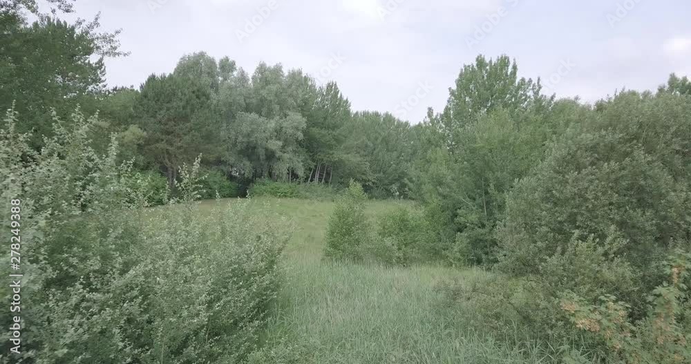 DRONE FLYING IN FOREST LOW HIGHT FAST SLOW ARIAL VIEW DRONE FLYING IN FOREST LOW HIGHT FAST SLOW ARIAL VIEW
