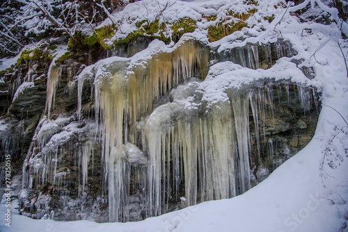Icicles in the forest