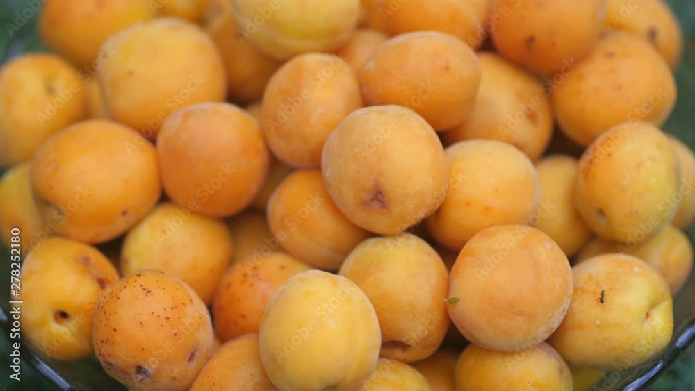 Ripe juicy apricots top view closeup on a natural green background. Tasty and healthy fruits. Rotation 360. 4K video Ripe juicy apricots top view closeup on a natural green background. Tasty and healthy fruits. Rotation 360. 4K video