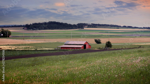 Farm view in scenic Whidbey island ,Washington state photo