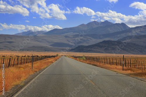 Straight empty road in Sierra mountains on the way to Twin lakes recreation area photo
