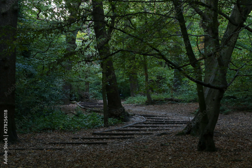 a forest path made from ooden steps winds its way up through a forest a forest path made from ooden steps winds its way up through a forest