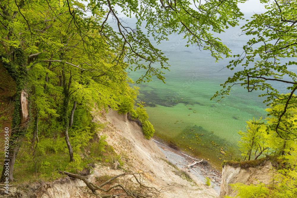 Fototapeta premium Baltic Sea. View from the Klifs on the island of Rügen, near Sassnitz. Jasmund national park