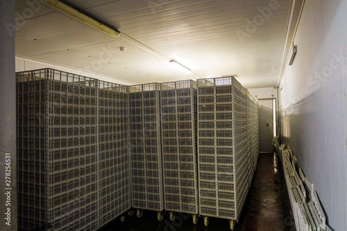 Storage room for empty hatcher carts and baskets. Agro-industrial hatchery. photo