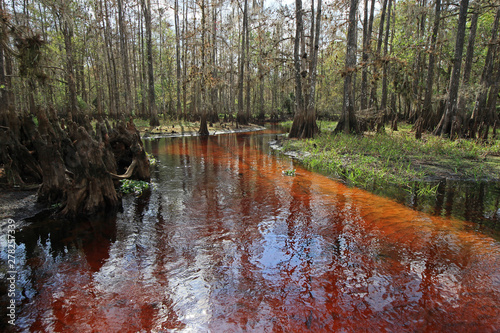 Tableau sur toile Fisheating Creek, Florida, on a calm and sunny winter afternoon.