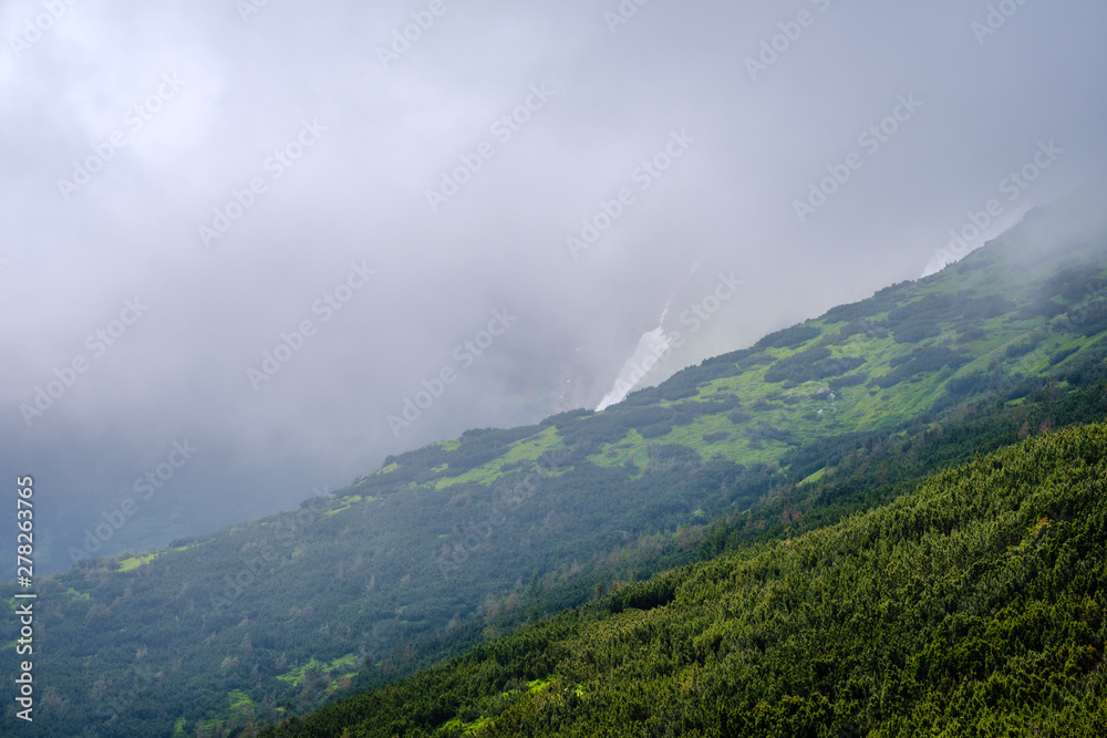 Summer misty morning cloudy Carpathian Mountains (Chornohora range, Ukraine).