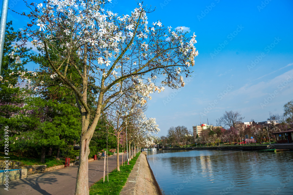 Timisoara city at the springtime, Romania