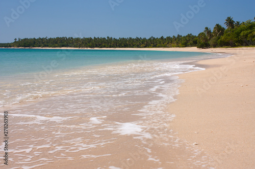 A perfect vacation image of a beach and palm trees in tropical Tonga