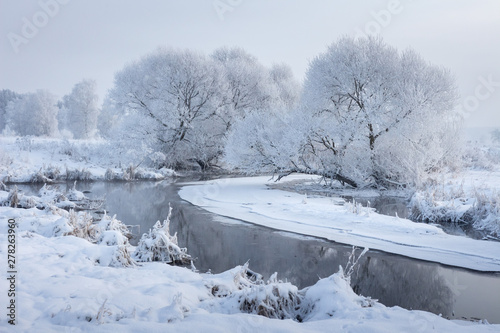Winter nature. Winter landscape. Snowy trees on riverbank. Christmas. Frosty background