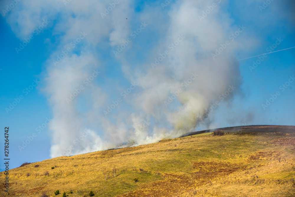 Fire on the field at the spring