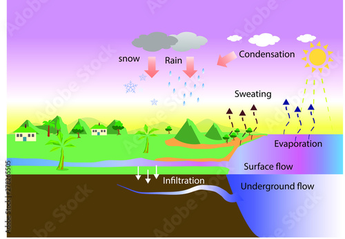 water cycle. evaporation and rain. The sun, which drives the water cycle, heats water in oceans and seas. geography