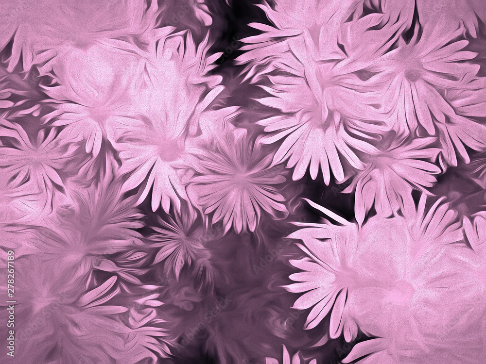 Daisies Illustration in Pink Daisies Illustration in Pink