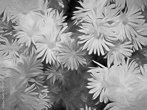 Daisies Illustration in Black and White © lynda lehmann