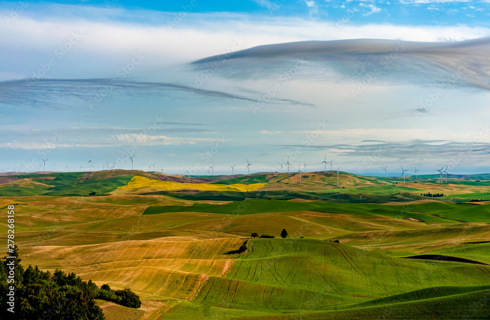 Wind Turbines Seen From Steptoe Butte State Park, Washington. Wind power on the Palouse, a long-unused resource, has become part of a broader network of alternative energy consisting of 58 turbines. Wind Turbines Seen From Steptoe Butte State Park, Washington. Wind power on the Palouse, a long-unused resource, has become part of a broader network of alternative energy consisting of 58 turbines.