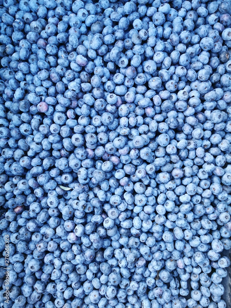 blueberri blueberri