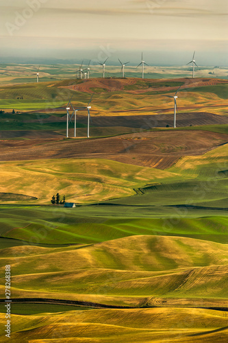 Wind Turbines Seen From Steptoe Butte State Park, Washington. Wind power on the Palouse, a long-unused resource, has become part of a broader network of alternative energy consisting of 58 turbines. photo