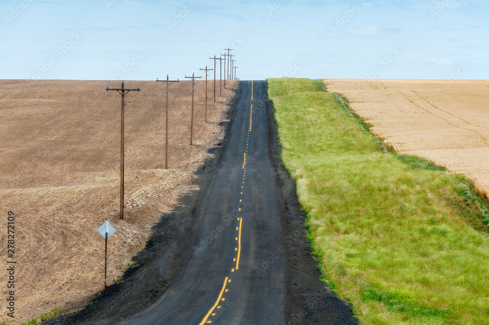 Picturesque Rural Road Through the Palouse Area of Eastern Washington State. Road through the agricultural heartland of the Palouse runs through wheat fields heading to the horizon. 